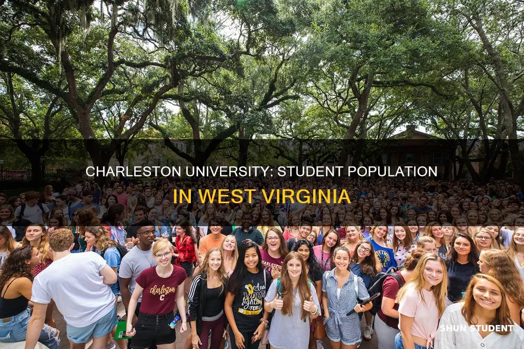 how many college students at charleston university in west virginia