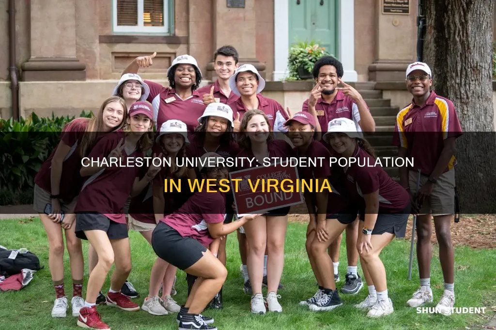 how many college students at charleston university in west virginia