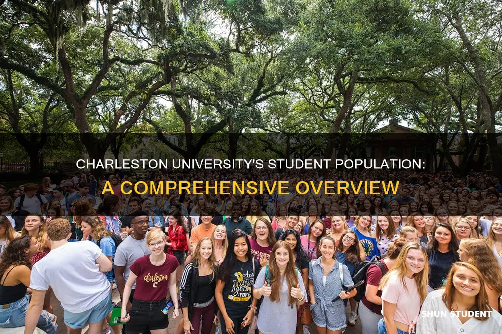 how many college students at charleston university