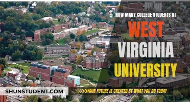 Exploring West Virginia University's Student Population