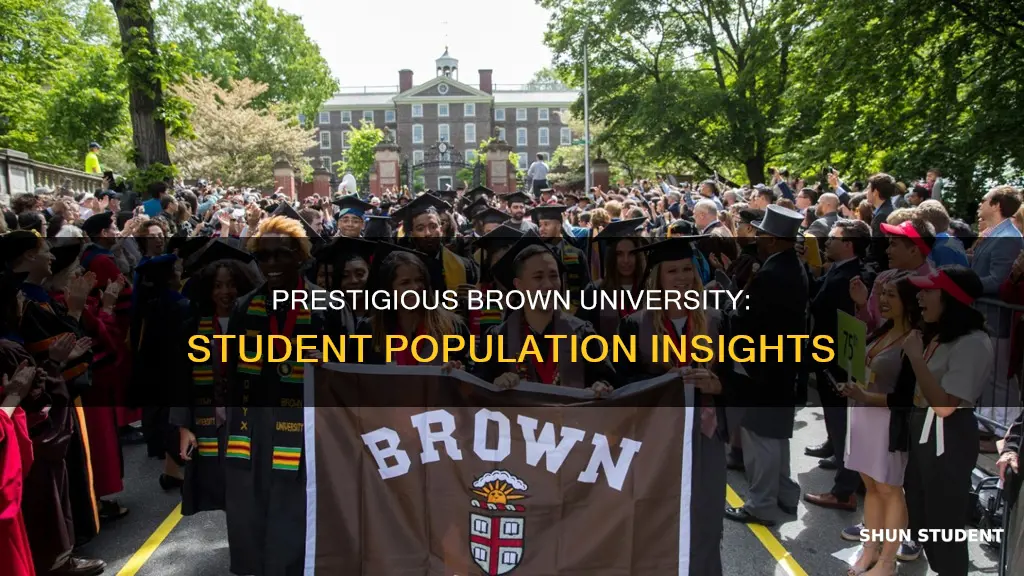 how many college students attend brown university