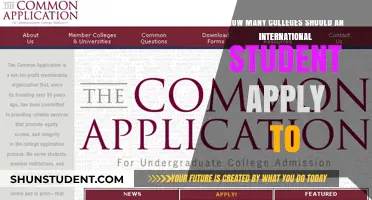 International Students: How Many Colleges to Apply to?
