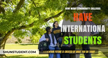 Community Colleges: International Student Appeal and Accessibility