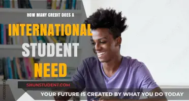 Credit Requirements for International Students: How Many?