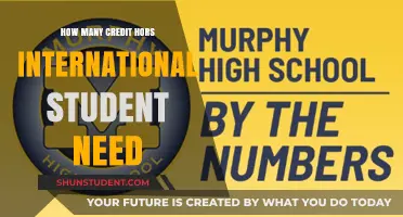 Credit Hours: International Students' Academic Journey