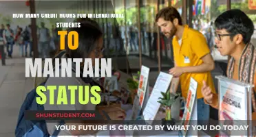 Credit Hours: Maintaining International Student Status