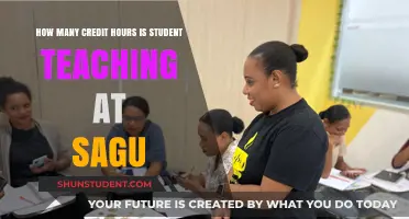 Credit Hours for Student Teaching at SAGU: What to Expect