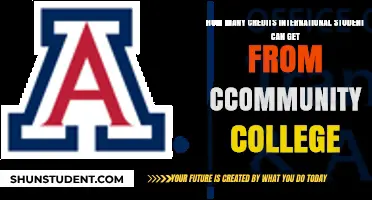 Transferring Credits: International Students' Community College Benefits