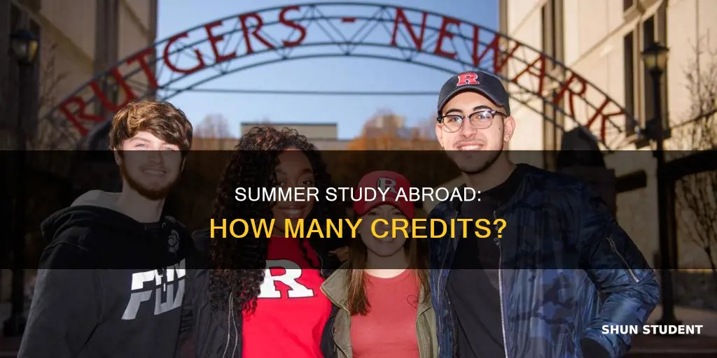 how many credits international student can take in summer