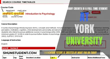 Full-Time Study Load at York University: Understanding Credit Requirements