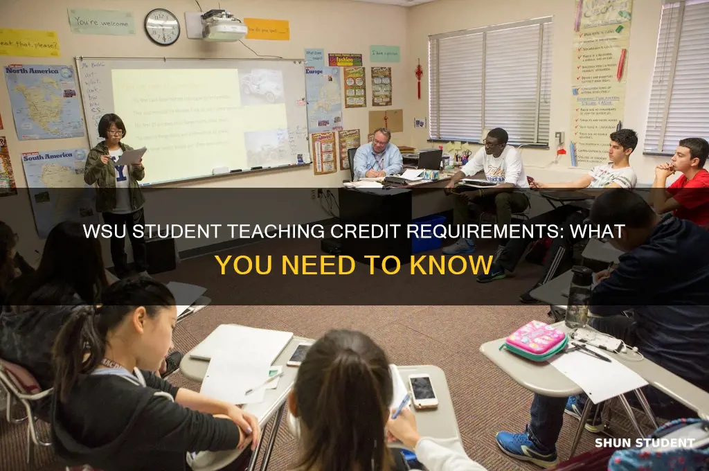 how many credits is student teaching at wsu