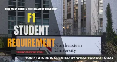 Full-Time Study Requirements for F-1 Visa Students at Northeastern University