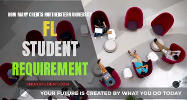 Credit Requirements for Northeastern University, Florida Students Explained