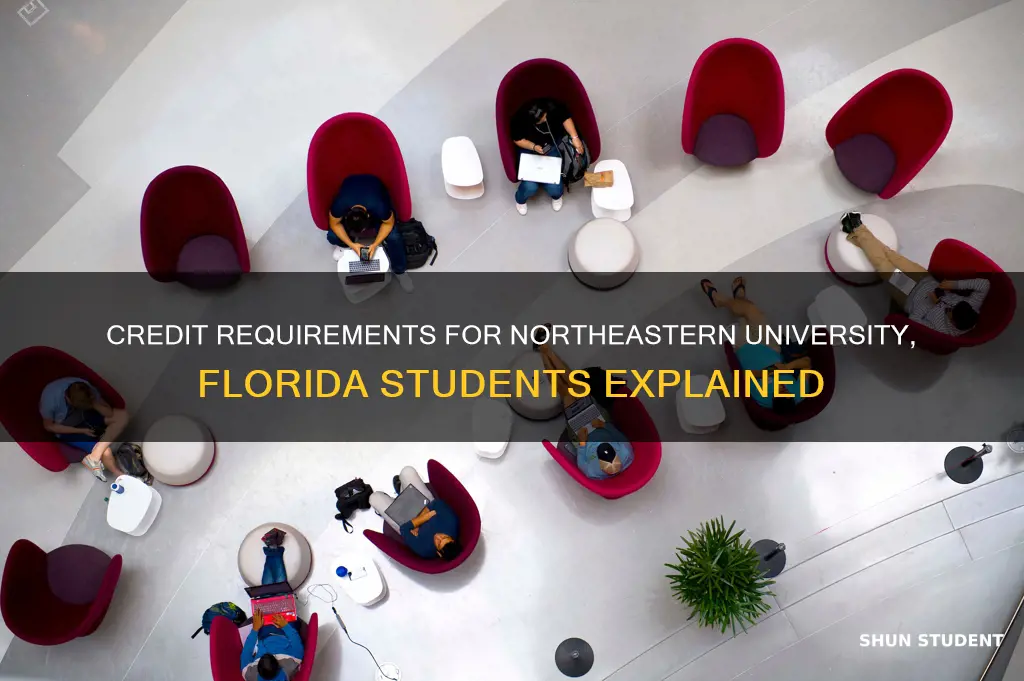 how many credits northeastern university fl student requirement