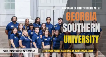 Southern Georgia University: Current Student Population Insights