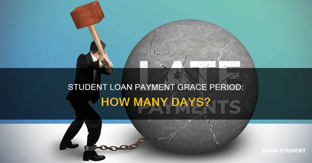 how many days late can i pay my student loans