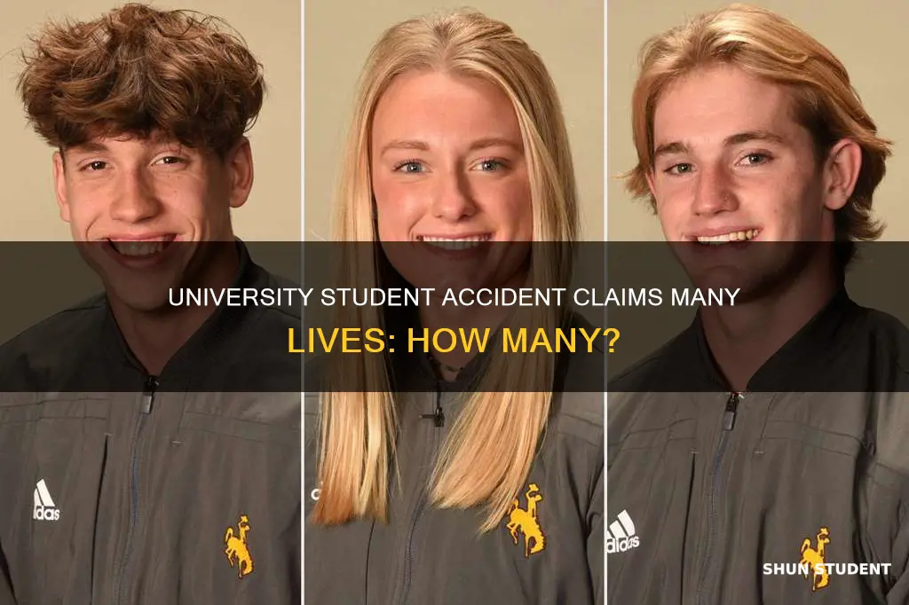 how many died in the university students accident