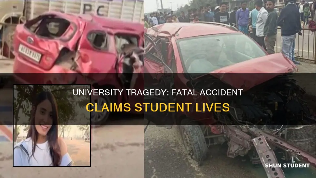 how many died in the university students accident
