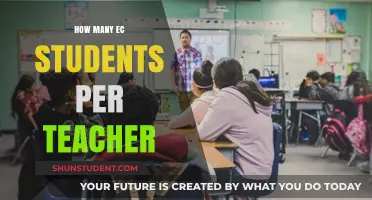 EC Teacher-Student Ratio: Balancing Education and Classroom Dynamics