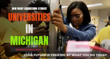 Engineering Student Universities in Michigan: Exploring the Options