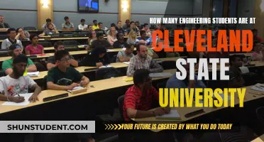 Engineering Students at Cleveland State University: How Many?