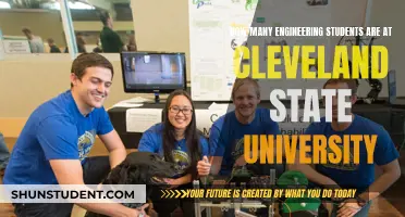Engineering Students at Cleveland State University: How Many?