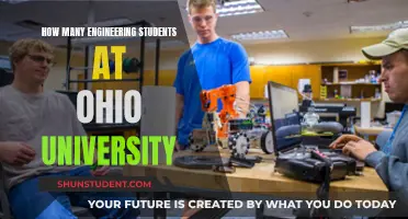 Engineering Student Population at Ohio University: How Many?