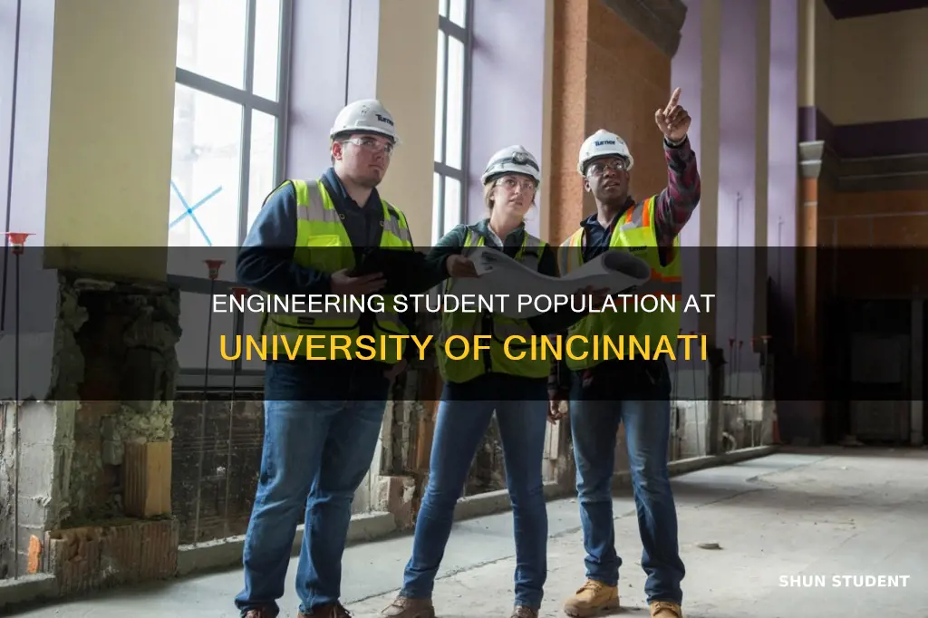 how many engineering students at university of cincinnati