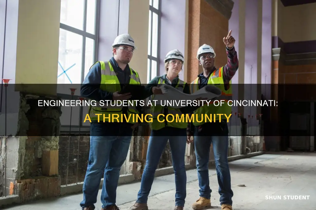 how many engineering students at university of cincinnati