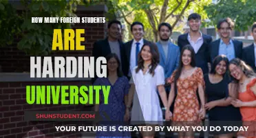 Foreign Students at Harding University: A Diverse Population