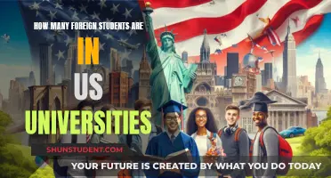 Foreign Students in US Universities: A Comprehensive Overview