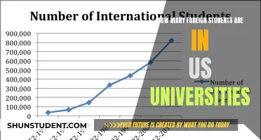 Foreign Students in US Universities: A Growing Trend