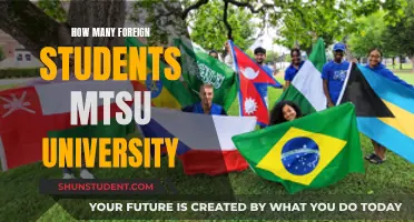 Foreign Students at MTSU: A Diverse Population