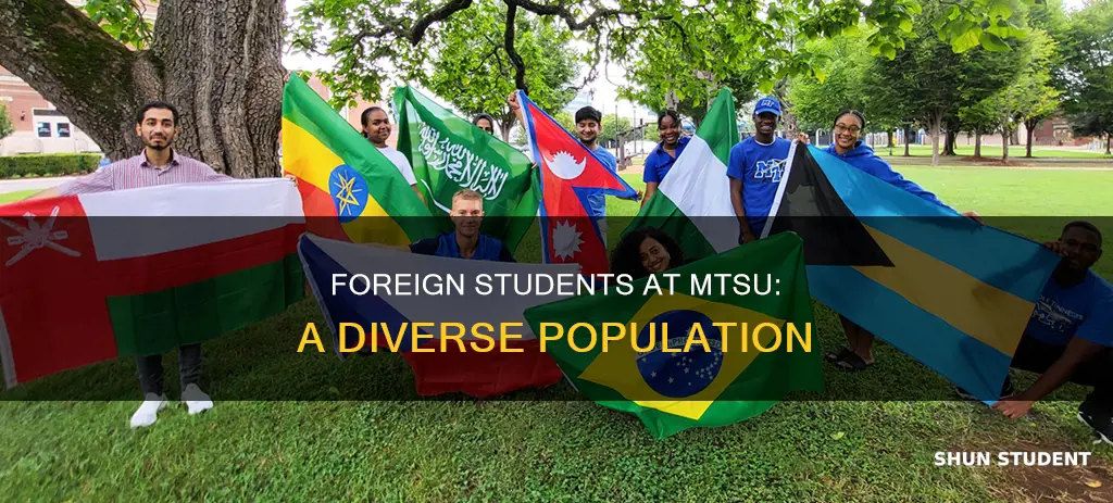 how many foreign students mtsu university