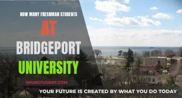 Freshman Class Sizes at Bridgeport University: How Many Students?