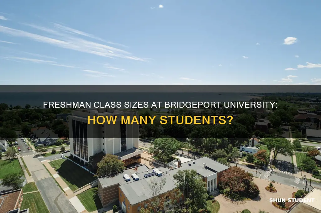 how many freshman students at bridgeport university