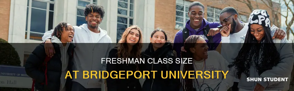 how many freshman students at bridgeport university