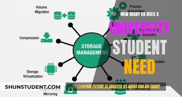 University Students: How Much Storage is Enough?