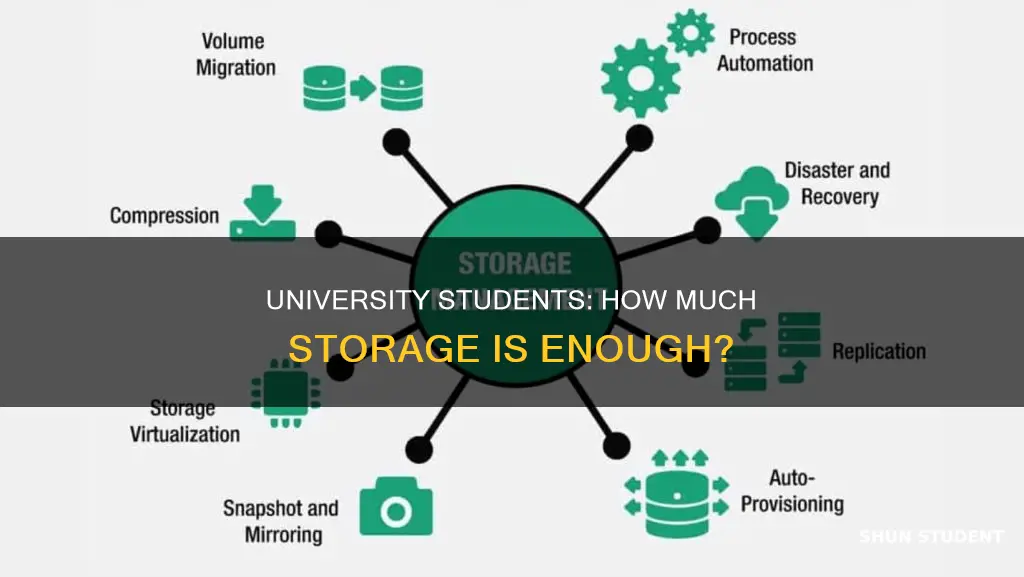 how many gb does a university student need