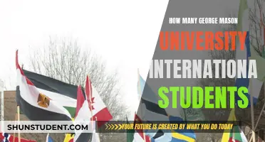International Students Thriving at George Mason University