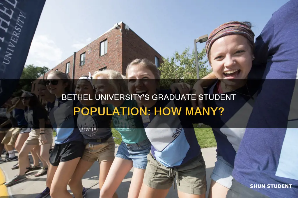 how many grad students at bethel university