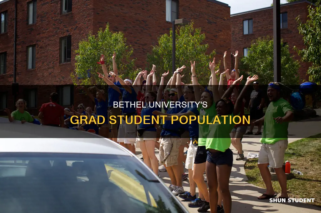 how many grad students at bethel university