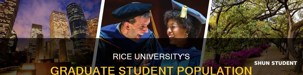 how many graduate students at rice university