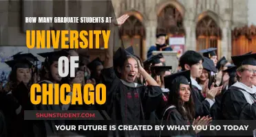 Chicago's Grad Student Population: A Comprehensive Overview