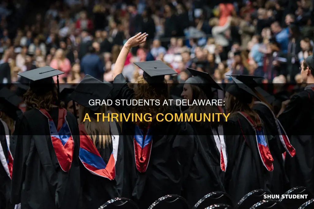 how many graduate students at university of delaware