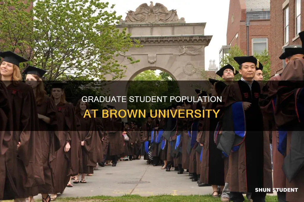 how many graduate students brown university