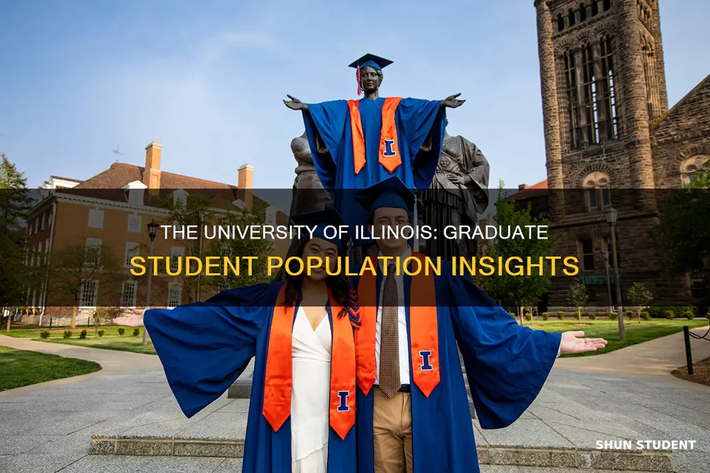 how many graduate students university illinois