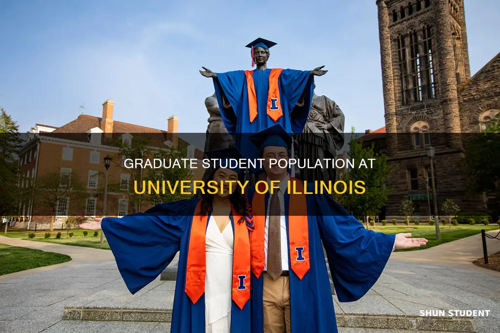 how many graduate students university illinois