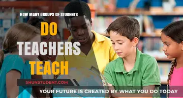 Understanding the Diverse Groups Teachers Manage in the Classroom