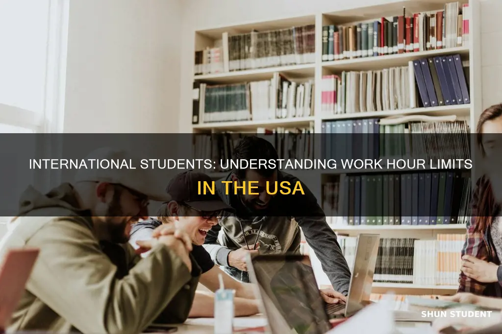 how many hours a international student can work in usa